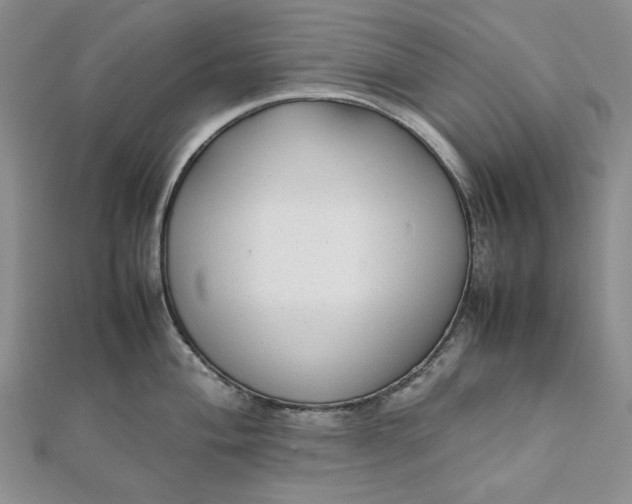 X0000111781004200908061111