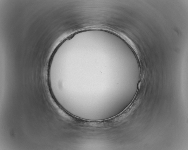 X0000111781005200908061111