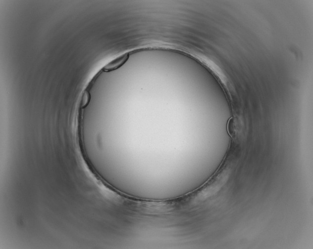 X0000111781007200908061111
