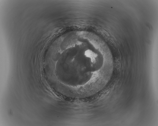 X0000111781009200908061110