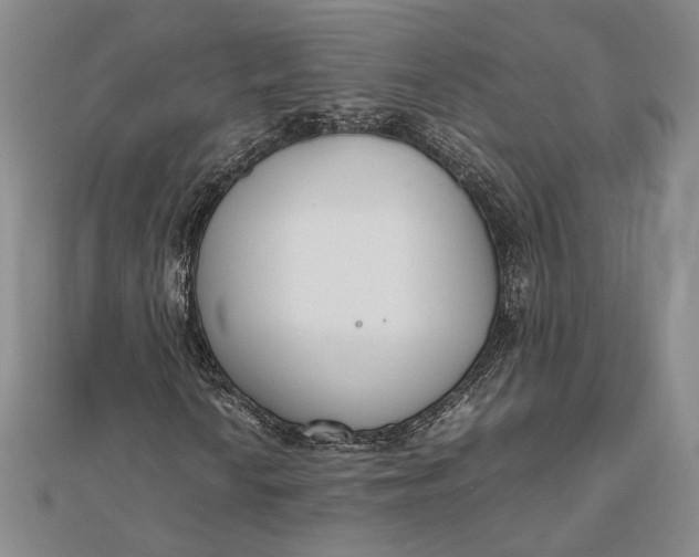 X0000111781010200908061110