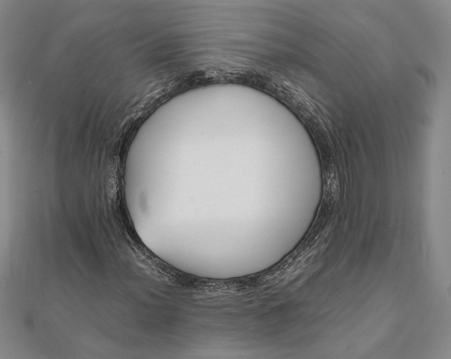 X0000111781012200908061110
