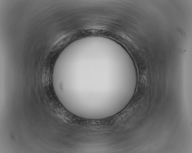 X0000111781014200908061110