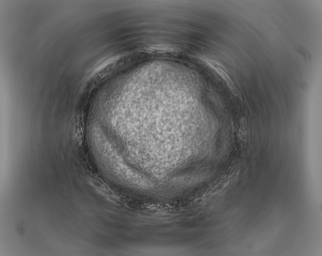 X0000111781015200908061110