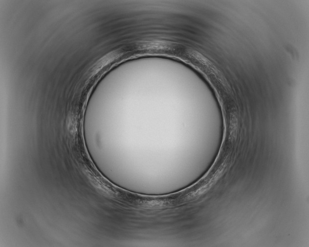 X0000111781017200908061110