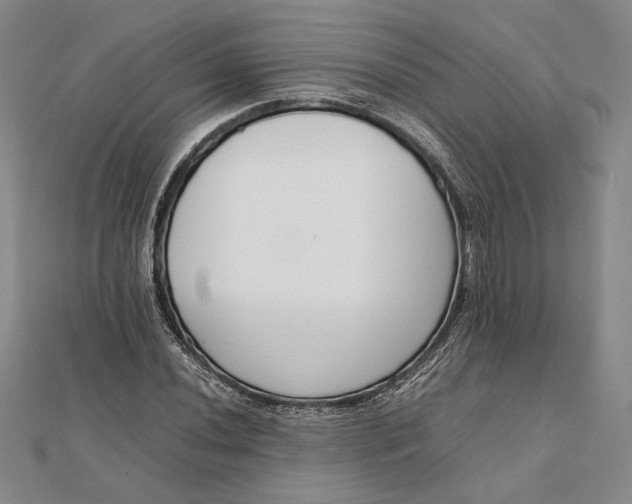 X0000111781020200908061110