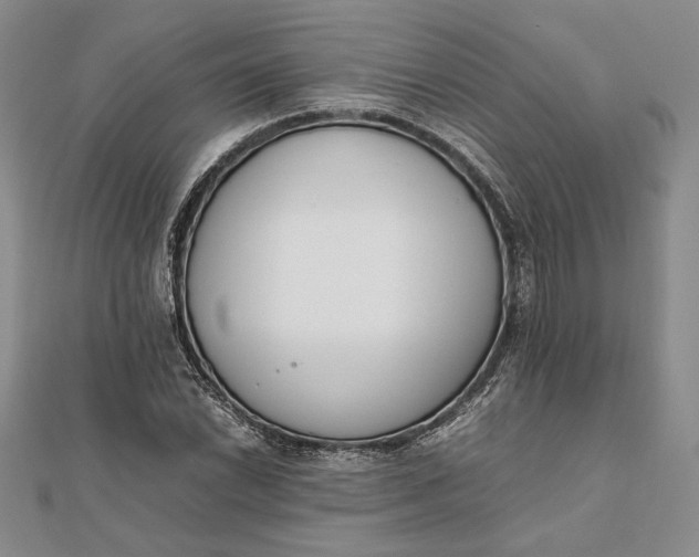 X0000111781022200908061110