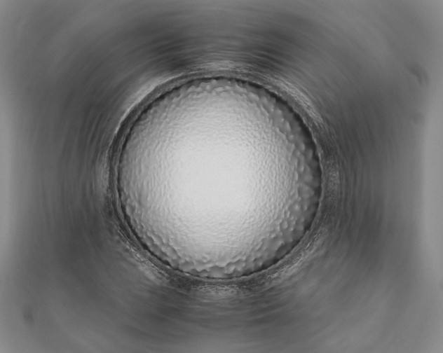 X0000111781023200908061110