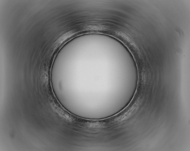 X0000111781025200908061110