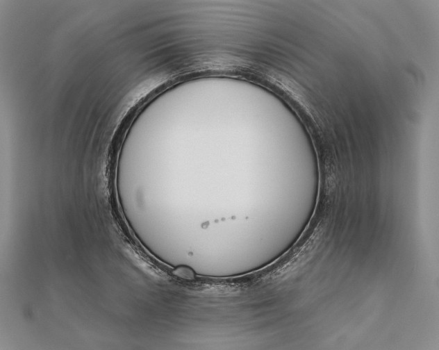 X0000111781026200908061110