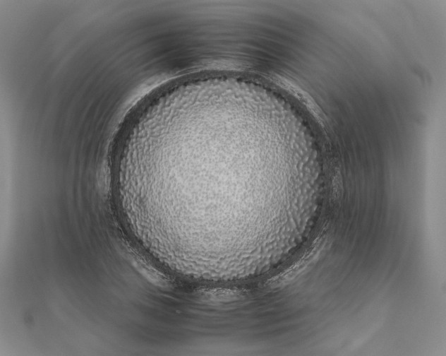 X0000111781027200908061110