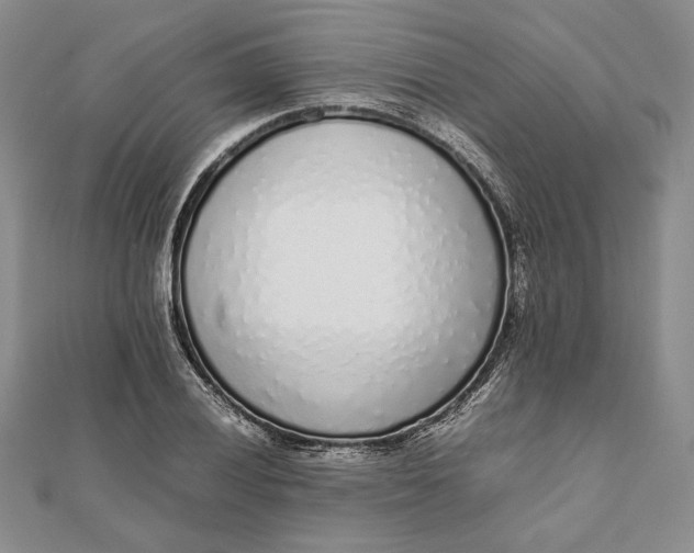 X0000111781028200908061110