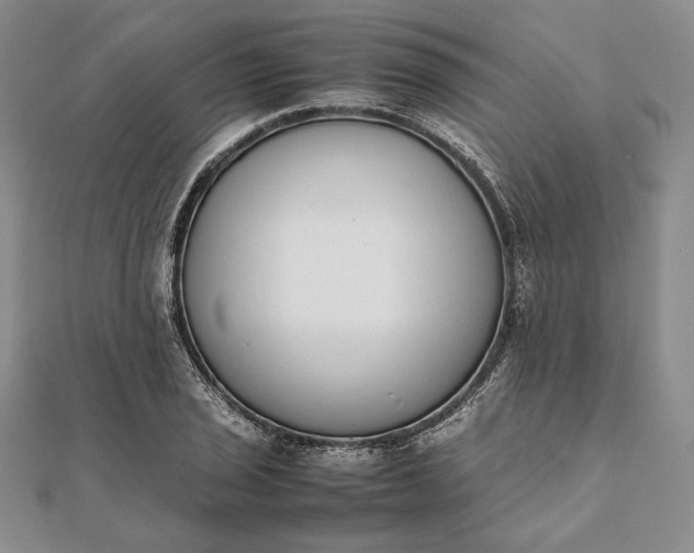 X0000111781029200908061110