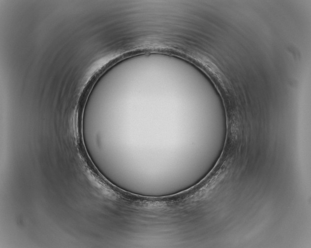 X0000111781030200908061110