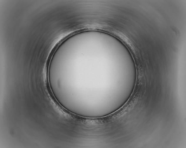 X0000111781032200908061110