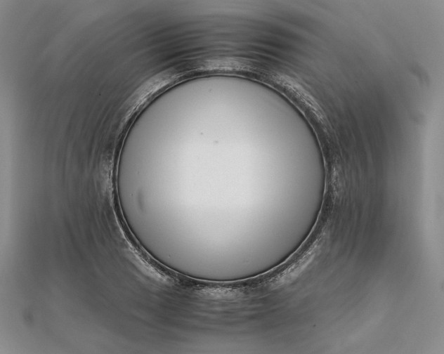 X0000111781033200908061110