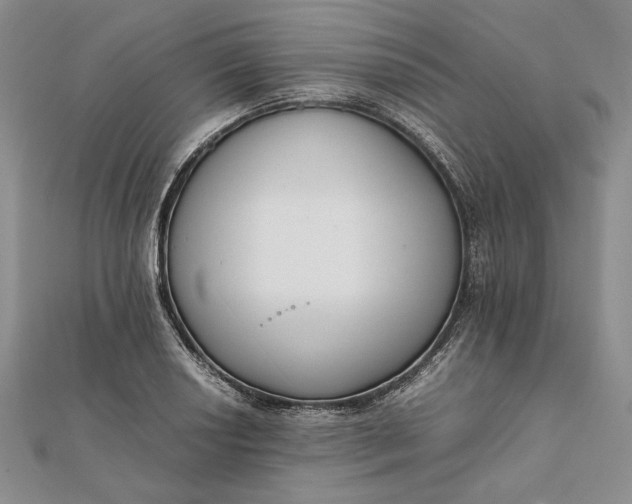 X0000111781034200908061110