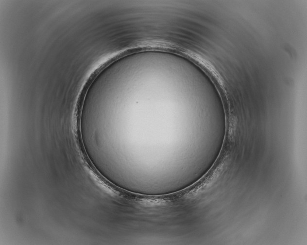 X0000111781037200908061110
