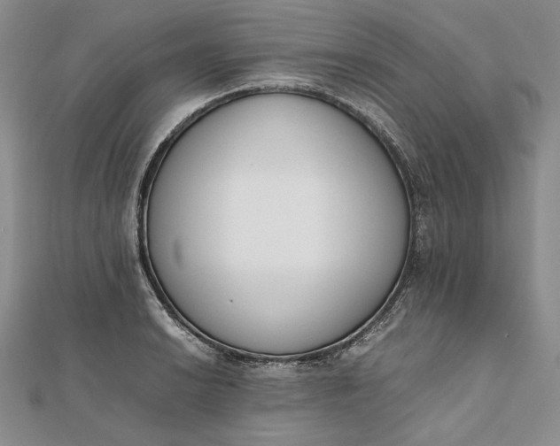 X0000111781038200908061110