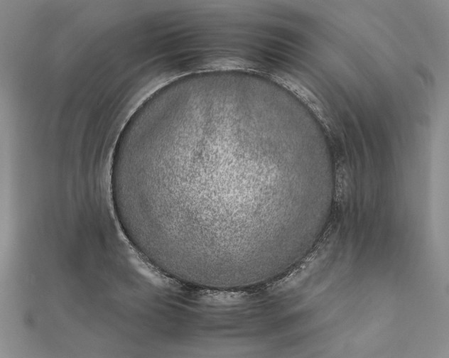 X0000111781039200908061110