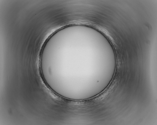 X0000111781040200908061110
