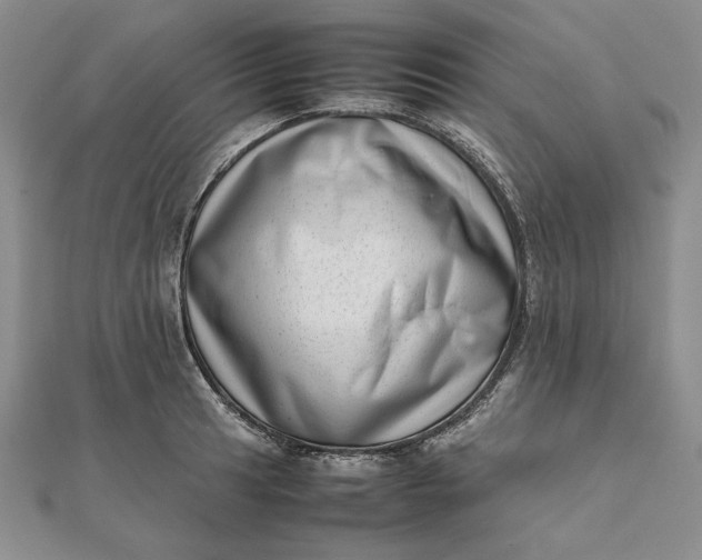 X0000111781041200908061110