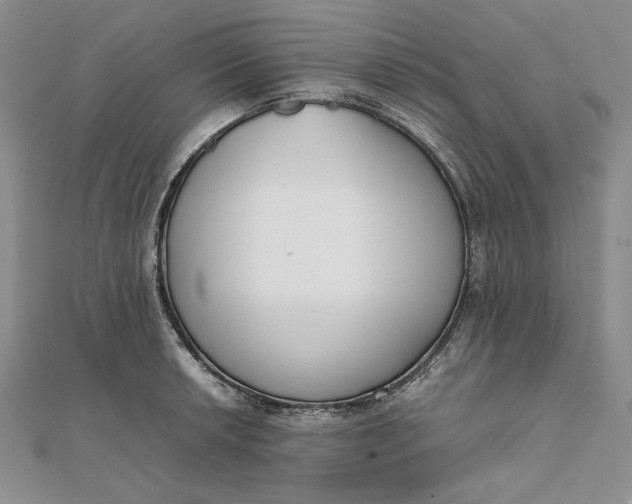 X0000111781042200908061110