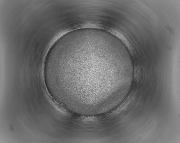 X0000111781043200908061110