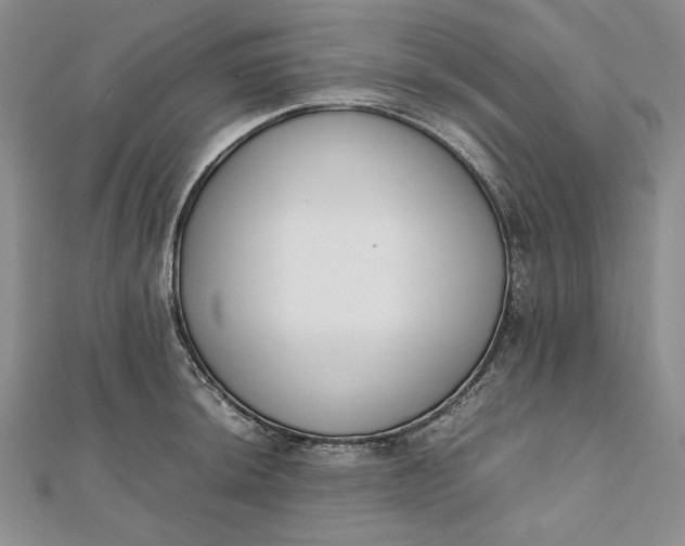 X0000111781044200908061110