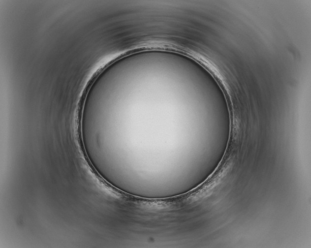 X0000111781045200908061110
