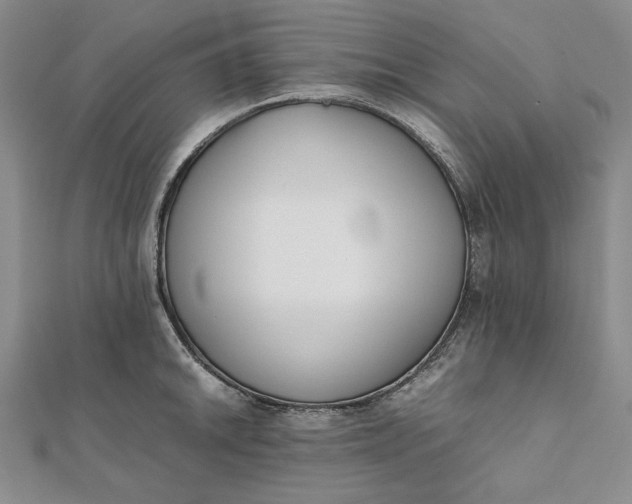 X0000111781046200908061110