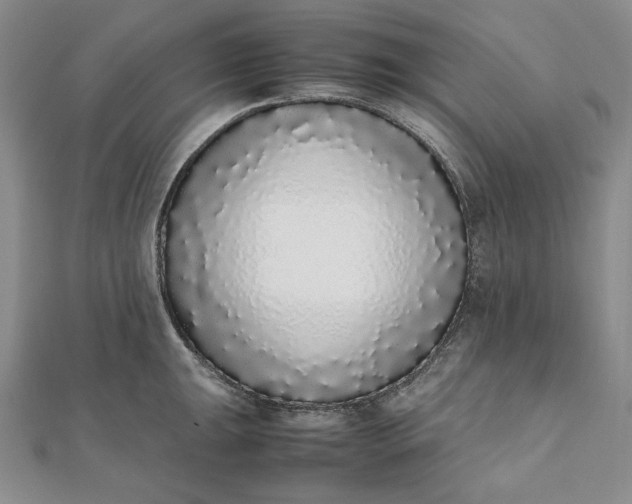 X0000111781047200908061110