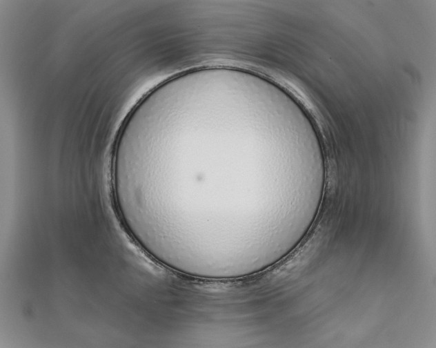 X0000111781048200908061110