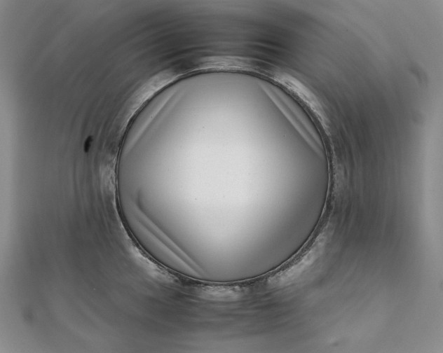 X0000111781049200908061110