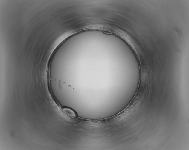 X0000111781050200908061110