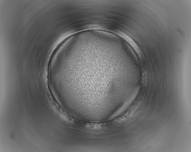 X0000111781051200908061110