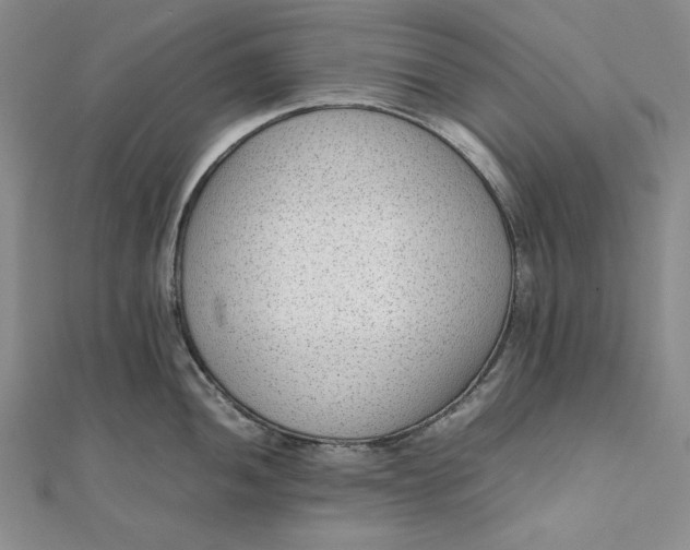 X0000111781052200908061110