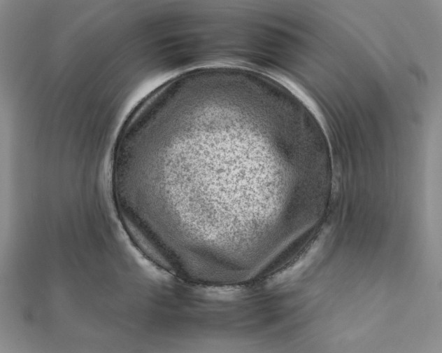 X0000111781053200908061110