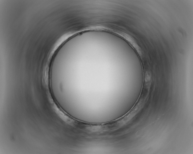 X0000111781054200908061110