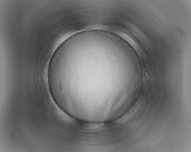 X0000111781055200908061110