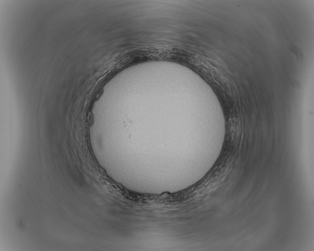 X0000111781057200908061110