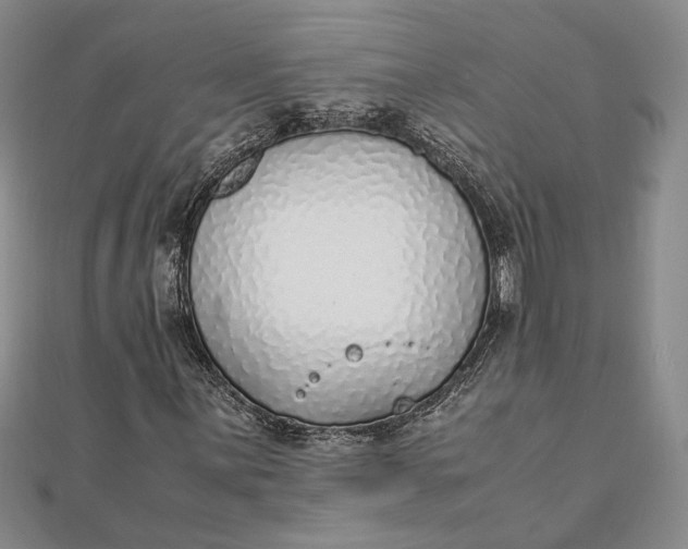 X0000111781059200908061110