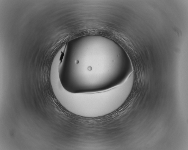 X0000111781060200908061110