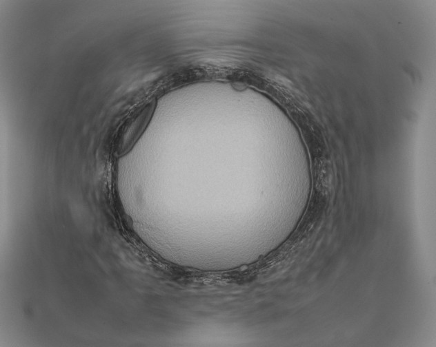 X0000111781061200908061110