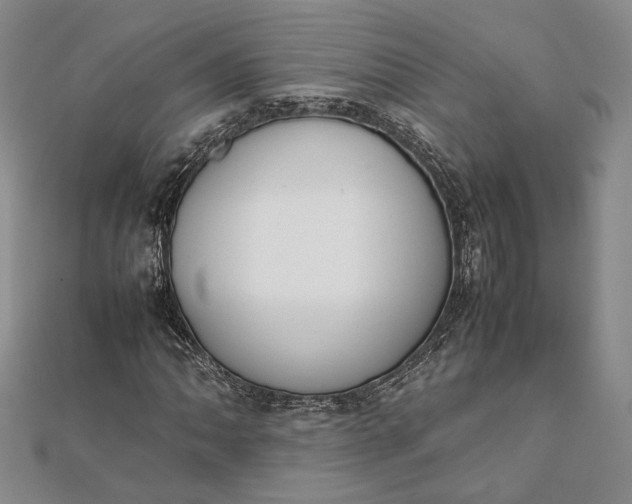 X0000111781062200908061110