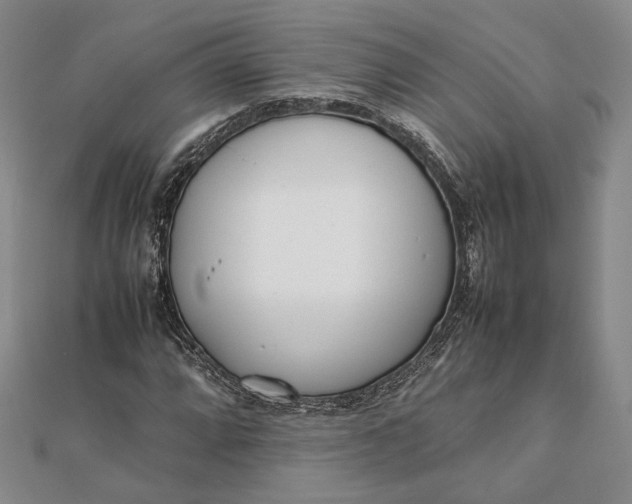 X0000111781064200908061110