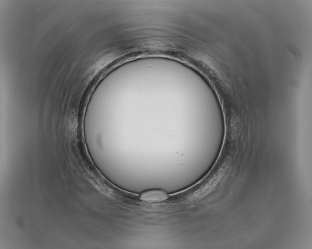 X0000111781065200908061110