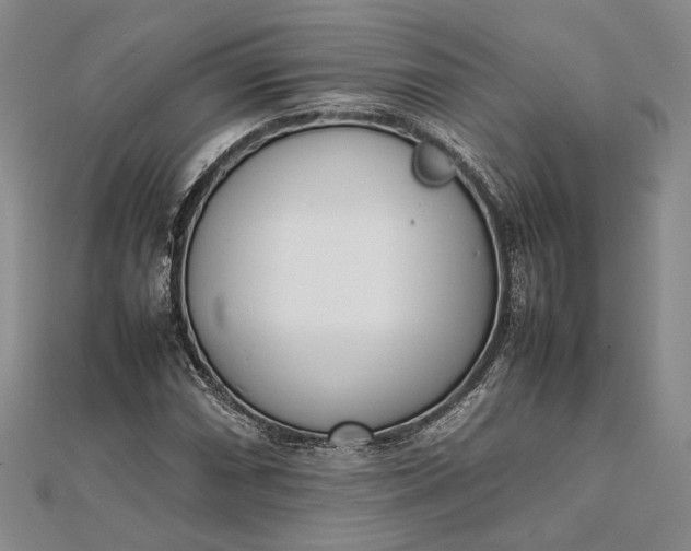 X0000111781066200908061110