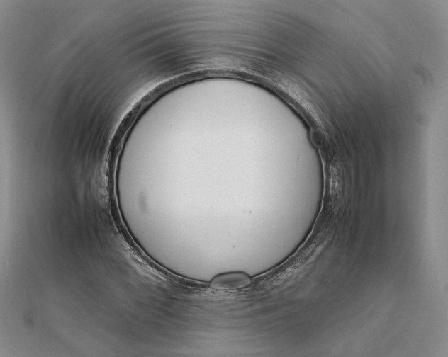 X0000111781068200908061110
