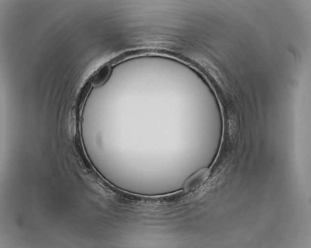X0000111781069200908061110